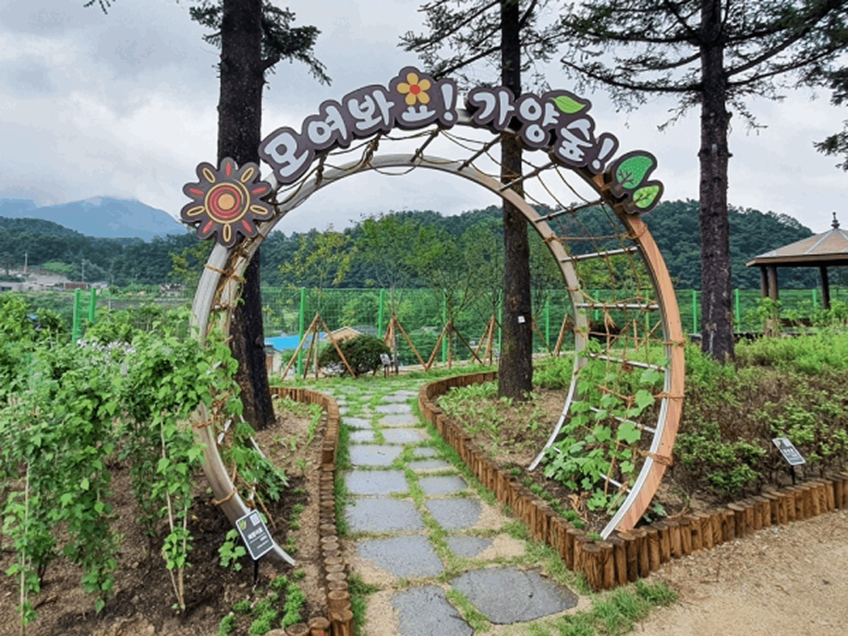 가양숲 채널간판